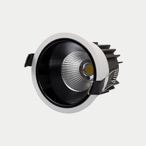ECB Downlight Series