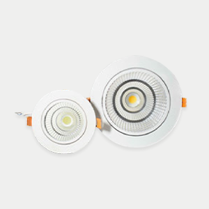 PCB Downlight Series